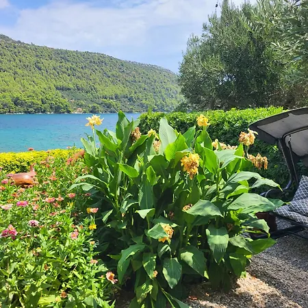 By The Sea Broce, Peljesac - 13182 Apartment Ston