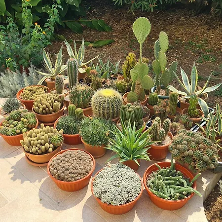 By The Sea Broce, Peljesac - 13182 *